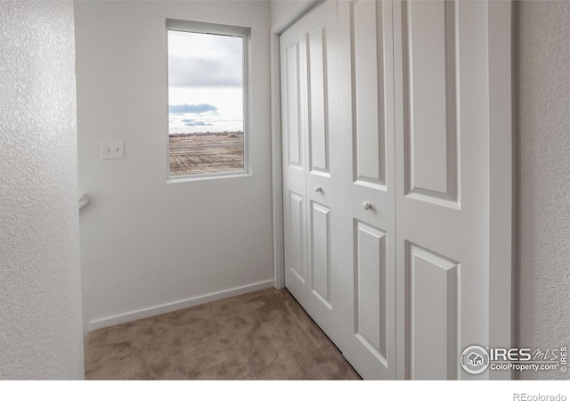 corridor featuring baseboards, carpet flooring, and a textured wall