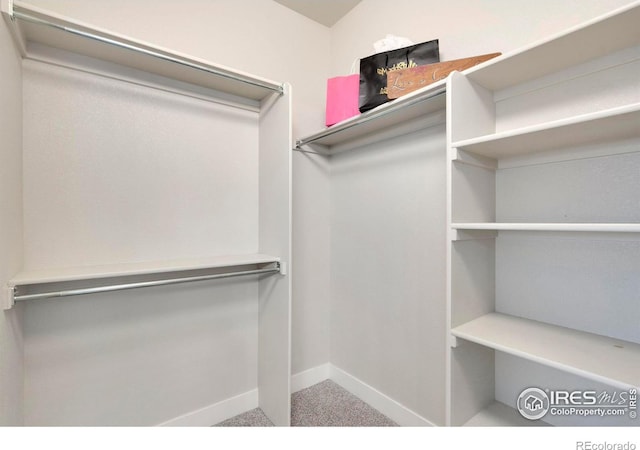 spacious closet with carpet