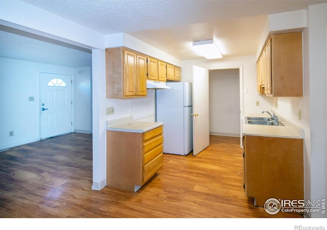 kitchen featuring a sink, under cabinet range hood, light wood-style flooring, and freestanding refrigerator