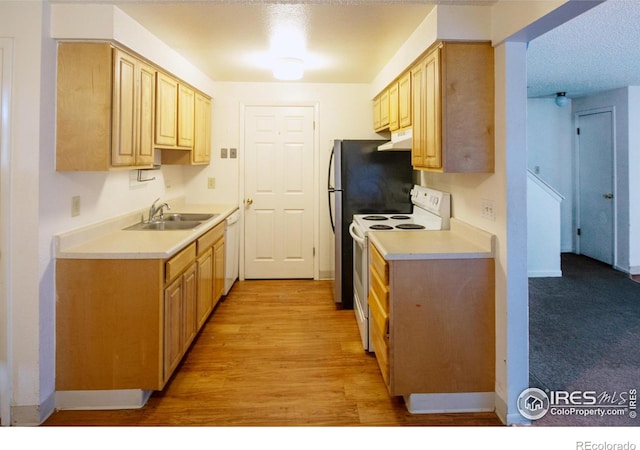 kitchen featuring white appliances, light brown cabinetry, under cabinet range hood, and a sink