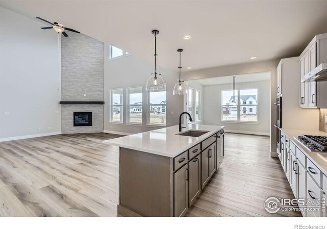 1685 Crystalline Dr, Windsor, CO 80550 - kitchen with light countertops, ceiling fan, light wood finished floors, and a sink