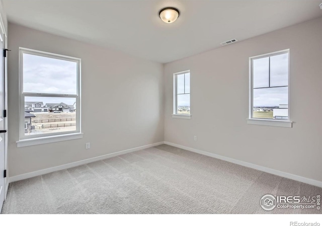 1685 Crystalline Dr, Windsor, CO 80550 - empty room featuring baseboards and carpet floors