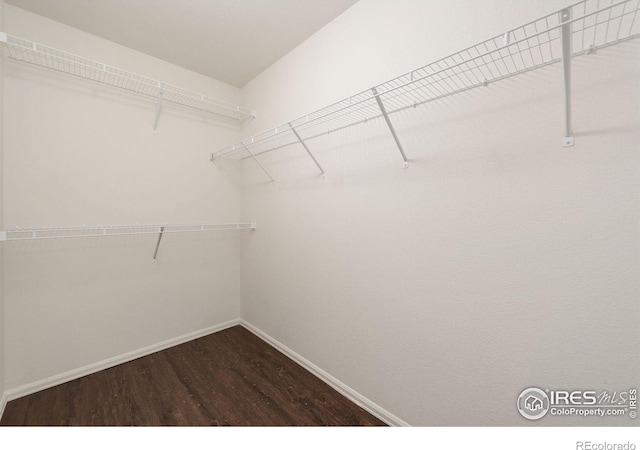 spacious closet featuring wood finished floors