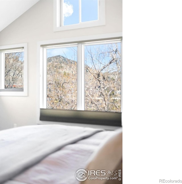 bedroom with lofted ceiling