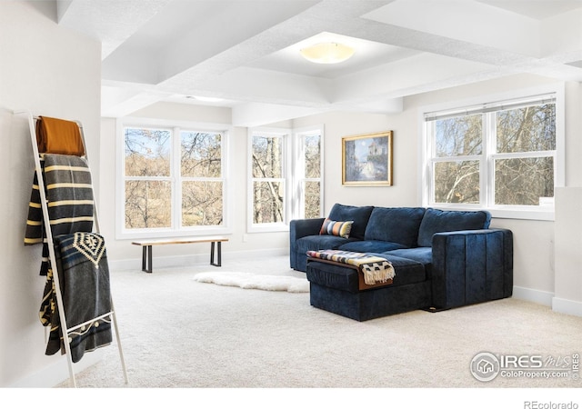 living room featuring baseboards and carpet floors