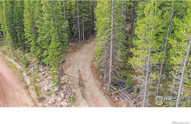 3765 Forest Road 195, Red Feather Lakes, CO 80545 - photo 6