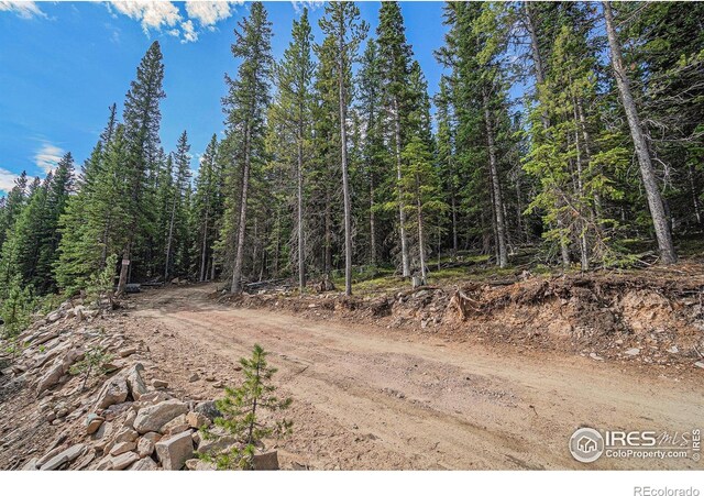 3765 Forest Road 195, Red Feather Lakes, CO 80545 - photo 7