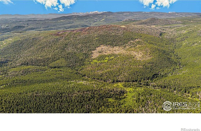 3765 Forest Road 195, Red Feather Lakes, CO 80545 - photo 9