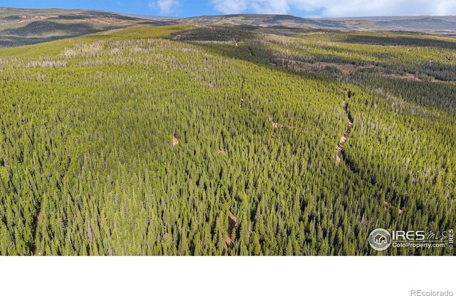 3765 Forest Road 195, Red Feather Lakes, CO 80545 - photo 10