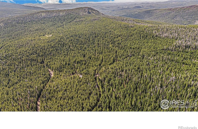 3765 Forest Road 195, Red Feather Lakes, CO 80545 - photo 11