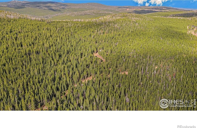 3765 Forest Road 195, Red Feather Lakes, CO 80545 - photo 12