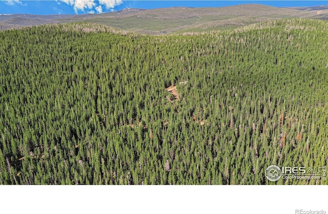 3765 Forest Road 195, Red Feather Lakes, CO 80545 - photo 13