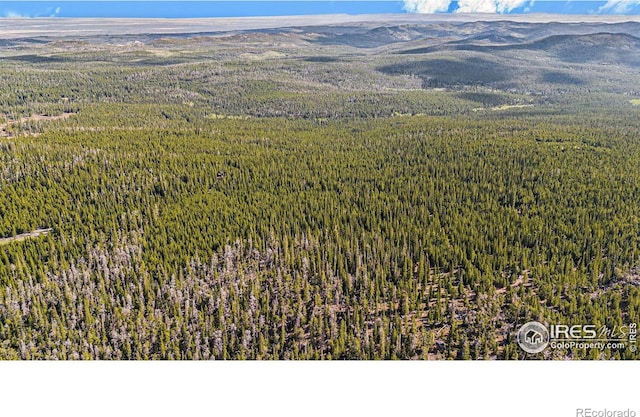 3765 Forest Road 195, Red Feather Lakes, CO 80545 - photo 14
