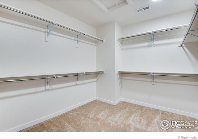 spacious closet featuring visible vents, carpet floors, and attic access