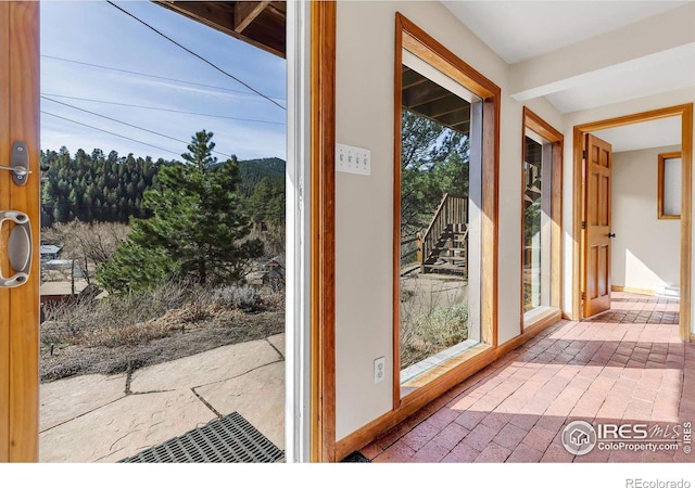15 Golden Age Rd, Jamestown, CO 80455 - doorway featuring baseboards and brick patterned flooring