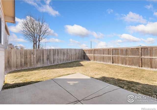 view of yard featuring a patio and a fenced backyard