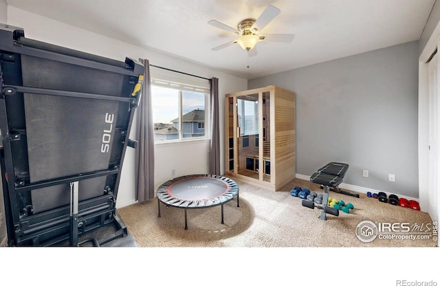1386 Plains Ct, Eaton, CO 80615 - miscellaneous room with baseboards, carpet floors, and ceiling fan