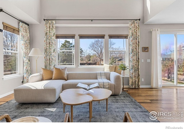 living area featuring baseboards, a healthy amount of sunlight, and wood finished floors