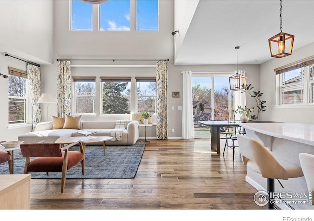 living area featuring baseboards, a healthy amount of sunlight, and wood finished floors