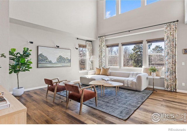 living area with wood finished floors, baseboards, and a towering ceiling