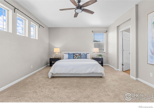 bedroom featuring baseboards, carpet floors, and multiple windows