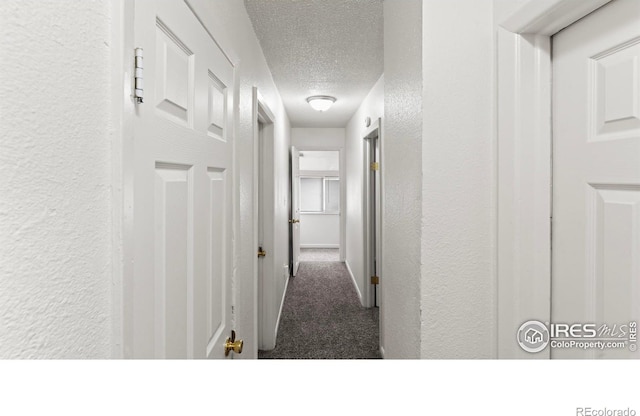1440 10th St, Greeley, CO 80631