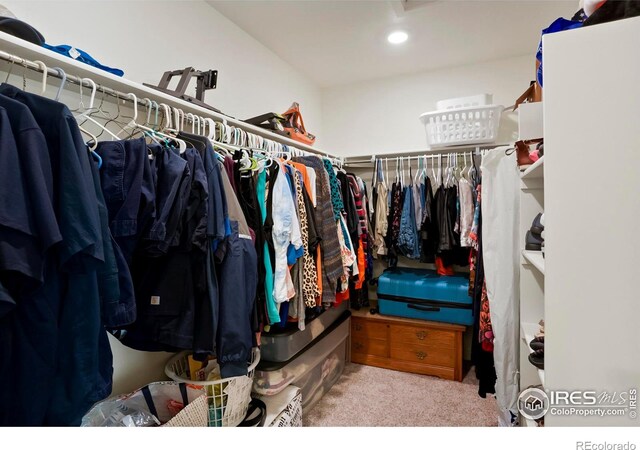 spacious closet with carpet