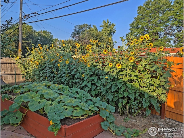 view of yard featuring a vegetable garden and fence