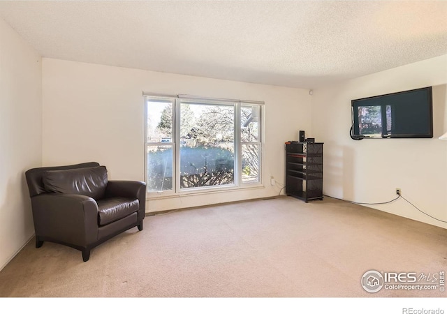 sitting room featuring carpet floors and a textured ceiling