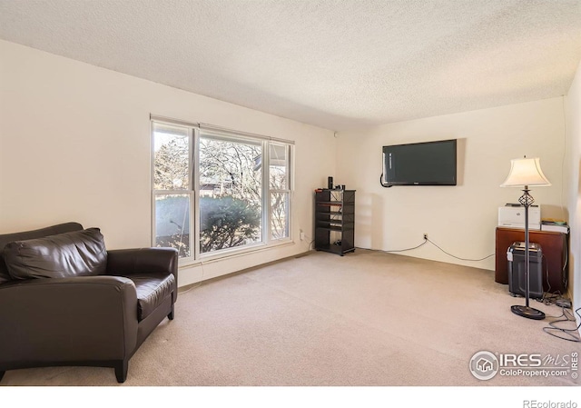 living area featuring carpet and a textured ceiling