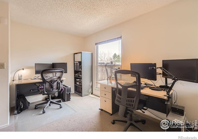 carpeted office space with a textured ceiling