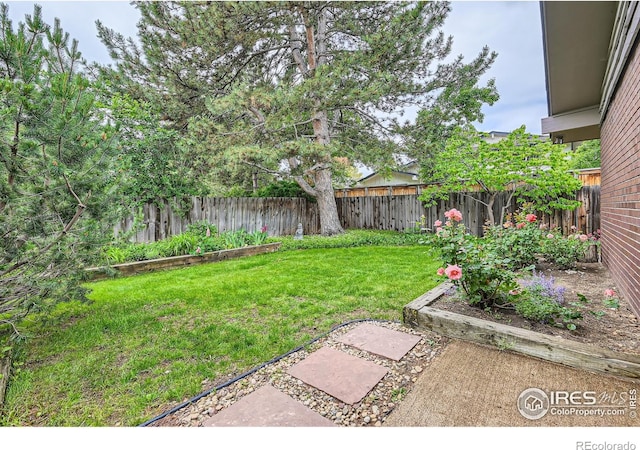 325 Fox Ct, Boulder, CO 80303 - view of yard