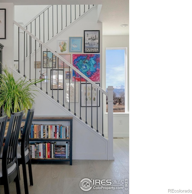 stairs featuring wood finished floors