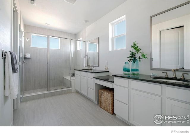 full bathroom featuring a sink, two vanities, and a stall shower