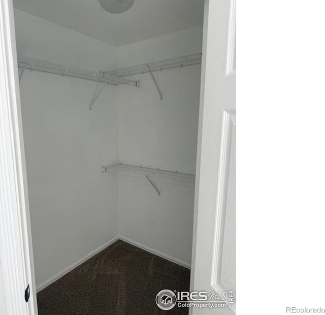 spacious closet featuring dark colored carpet