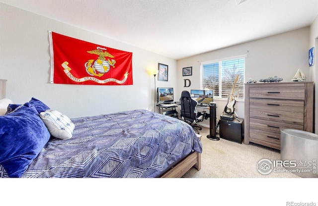 bedroom featuring carpet floors