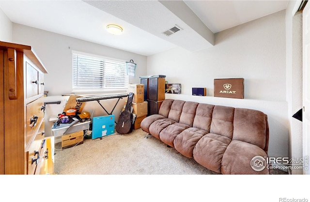 carpeted living room featuring visible vents