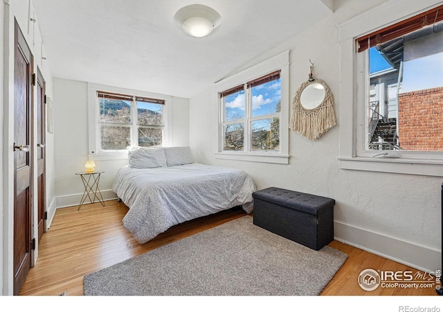 bedroom featuring baseboards, multiple windows, and light wood finished floors