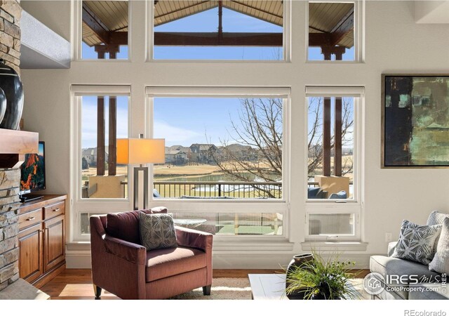 living area with high vaulted ceiling and light wood finished floors