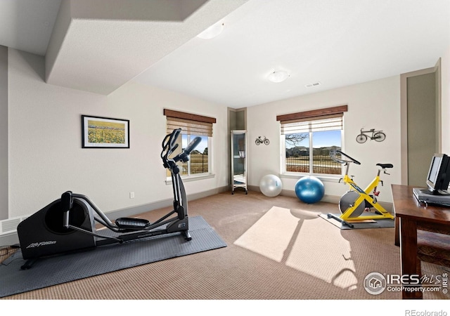 workout room with visible vents, carpet, and baseboards