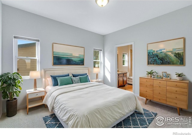 229 3rd St, Fort Collins, CO 80524 - bedroom featuring multiple windows, light colored carpet, and ensuite bath