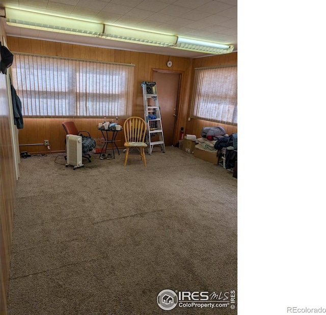 unfurnished room with wooden walls and carpet floors