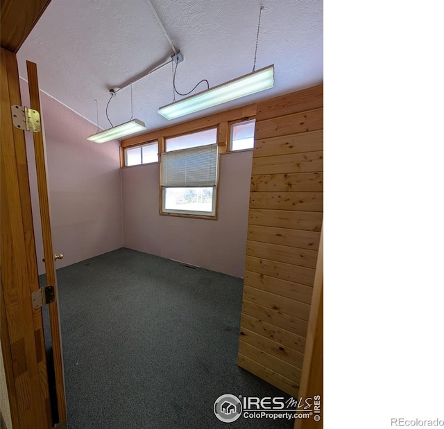 basement with carpet and a textured ceiling