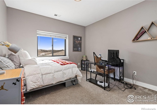 4528 Del Colina Way, Laporte, CO 80535 - bedroom featuring carpet floors and baseboards