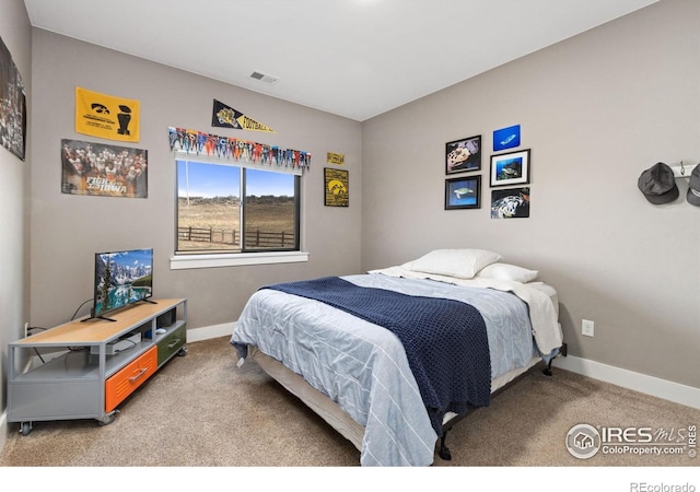 4528 Del Colina Way, Laporte, CO 80535 - bedroom featuring carpet and baseboards