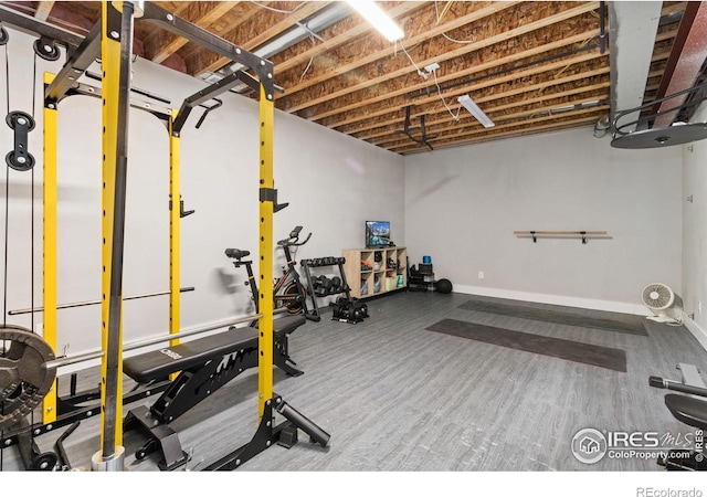 4528 Del Colina Way, Laporte, CO 80535 - view of workout area