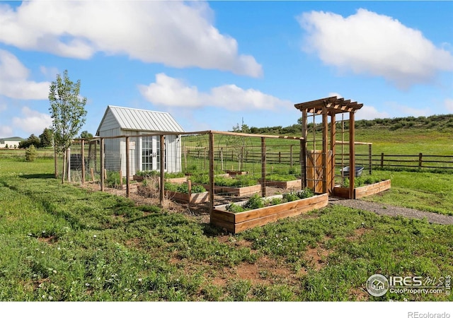 4528 Del Colina Way, Laporte, CO 80535 - view of yard featuring a garden and an outdoor structure