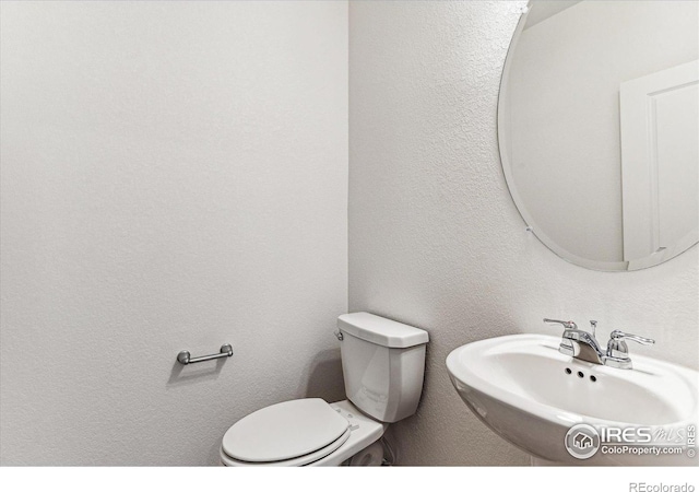 half bathroom featuring a sink, toilet, and a textured wall