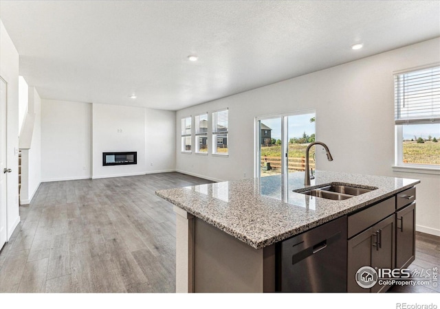 kitchen with light wood finished floors, plenty of natural light, stainless steel dishwasher, and a sink