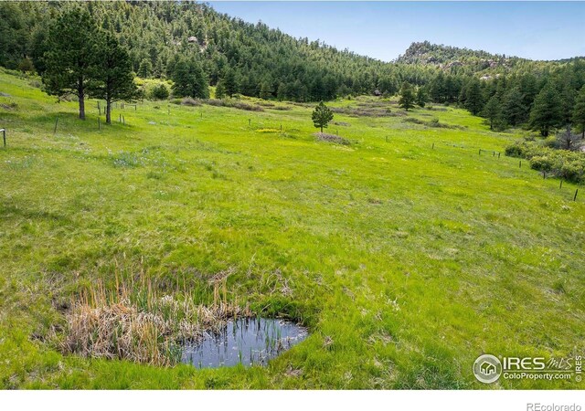 view of local wilderness featuring a forest view